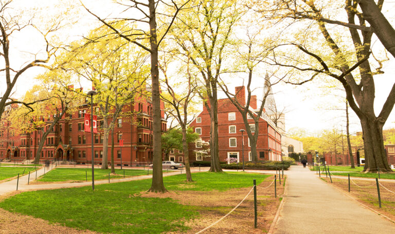 Harvard College Early Applications Drop 17% From Last Year
